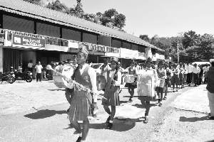 Udapalatha Pradeshiya Sabha